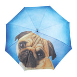 Doppler Long Modern Art Auto Umbrella - Lazy Dog