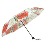 Shelta Patterson 99 Mini Maxi Compact Native Umbrella